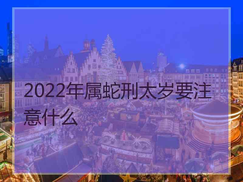 2022年属蛇刑太岁要注意什么