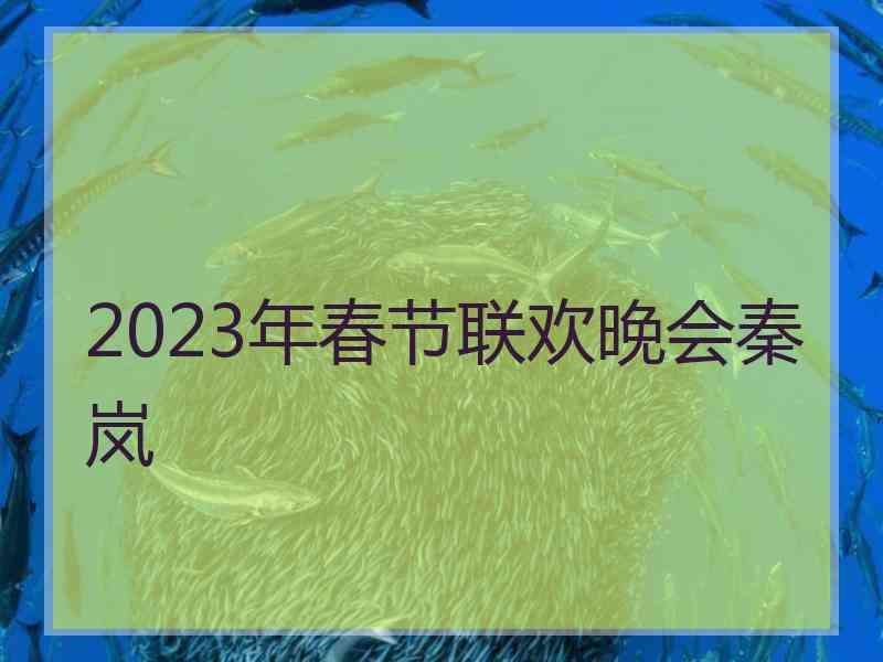 2023年春节联欢晚会秦岚