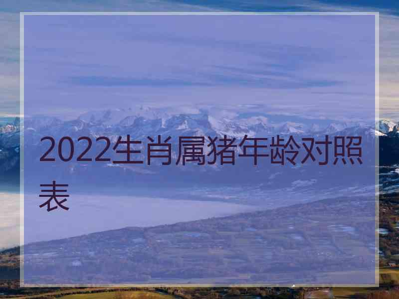 2022生肖属猪年龄对照表