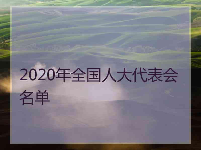 2020年全国人大代表会名单