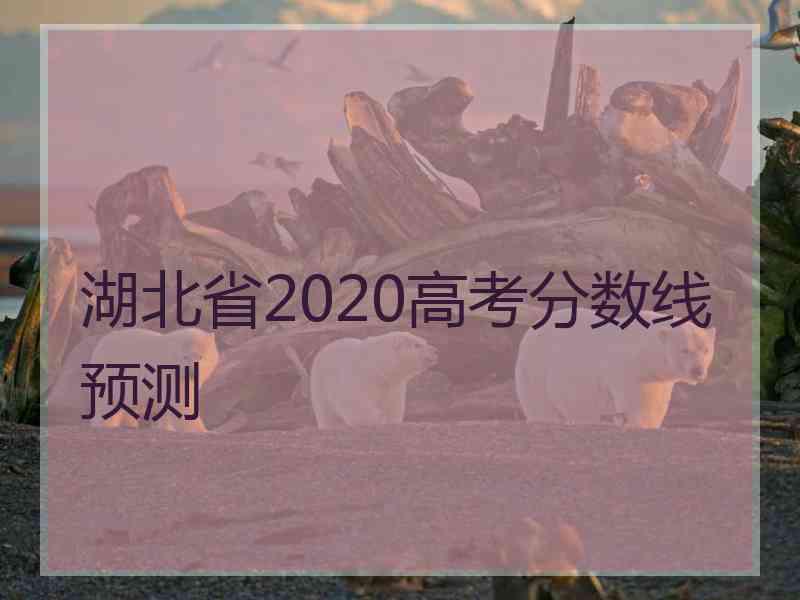 湖北省2020高考分数线预测