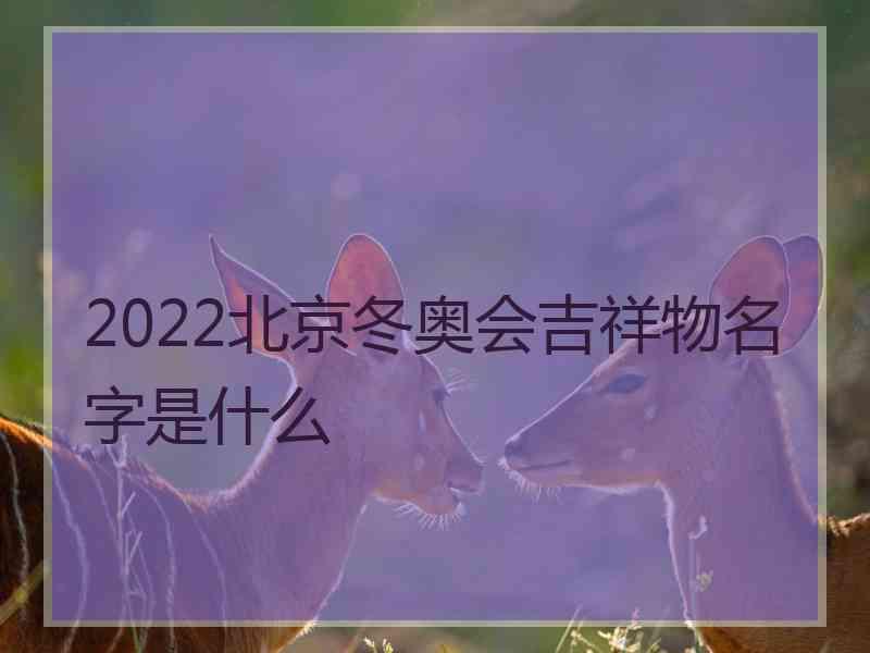 2022北京冬奥会吉祥物名字是什么