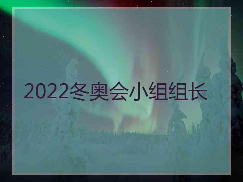 2022冬奥会小组组长