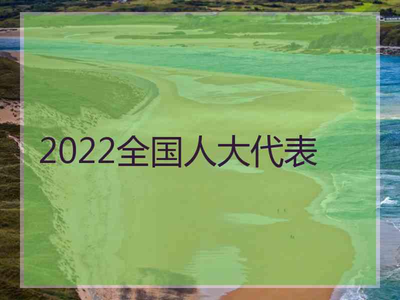 2022全国人大代表