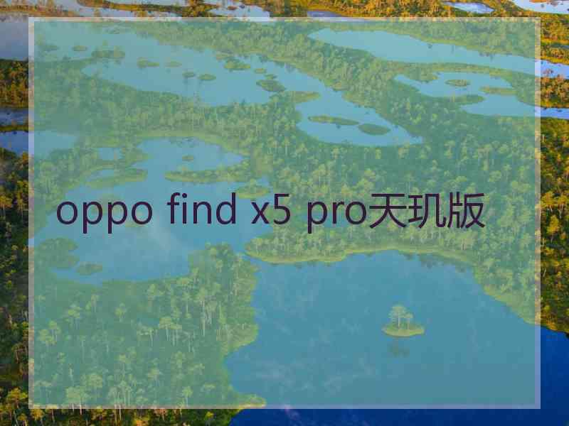 oppo find x5 pro天玑版