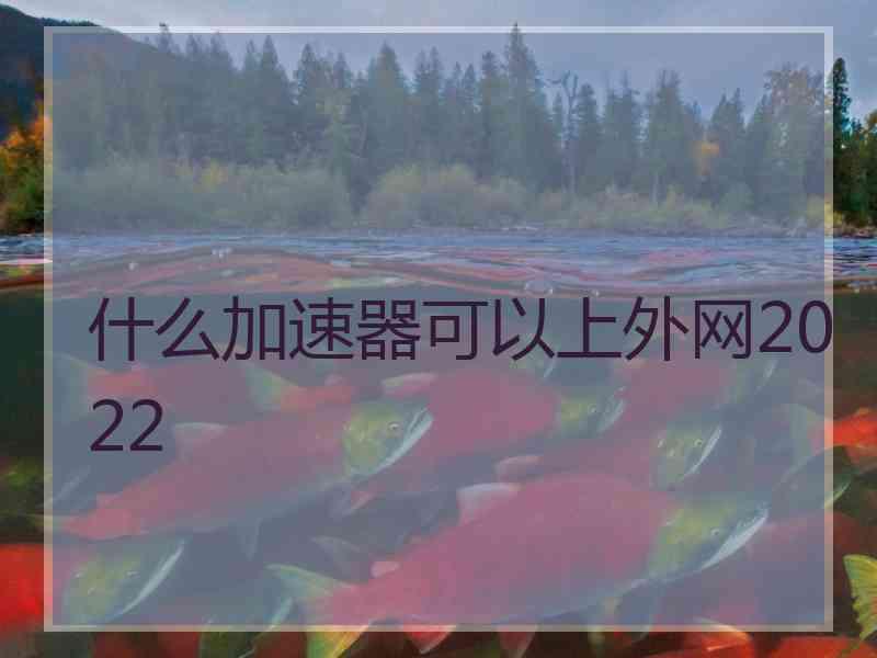 什么加速器可以上外网2022