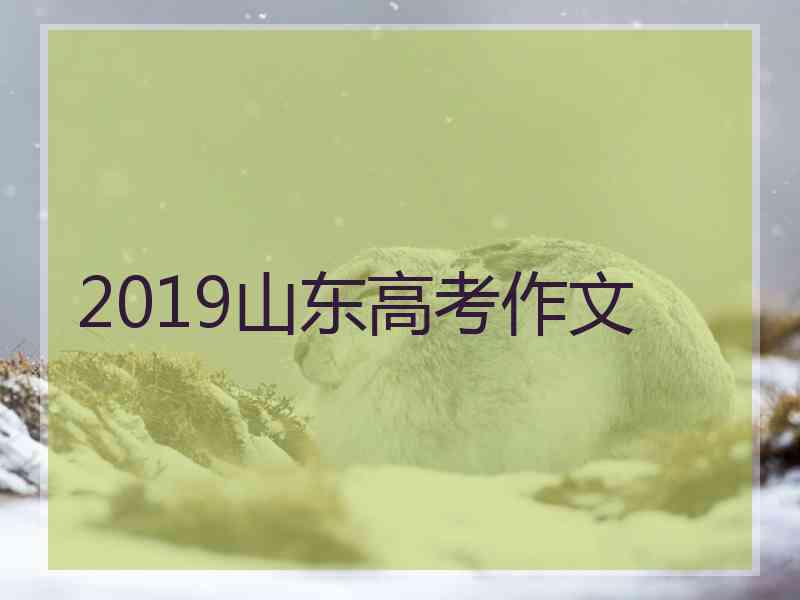 2019山东高考作文