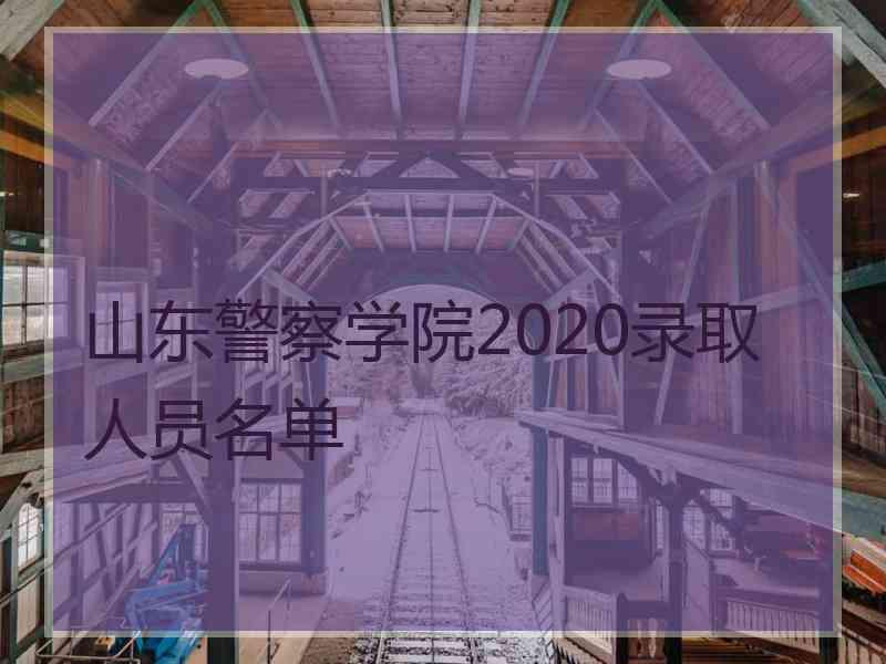 山东警察学院2020录取人员名单