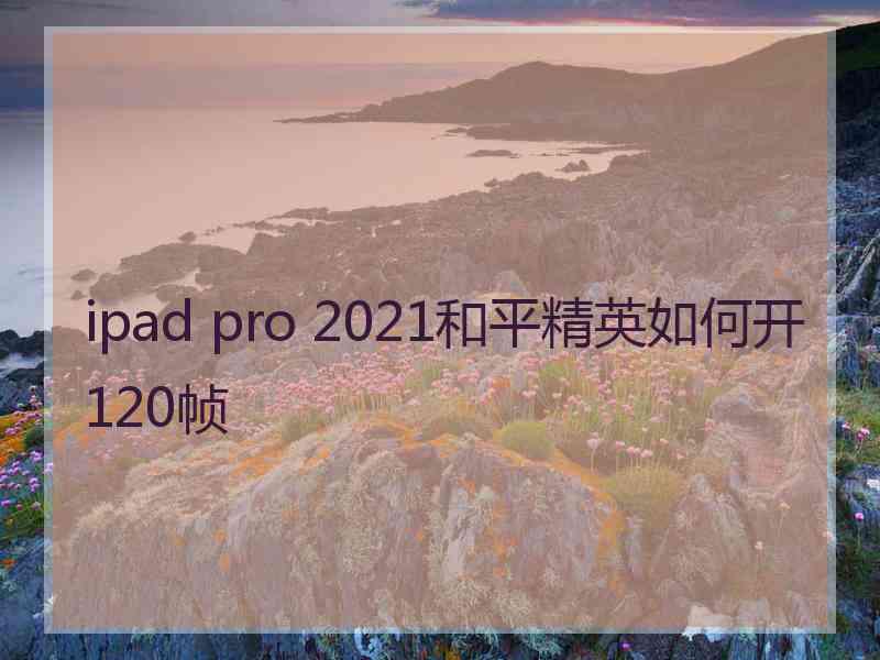 ipad pro 2021和平精英如何开120帧