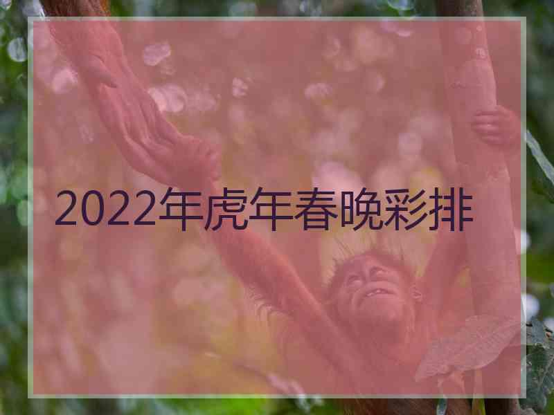 2022年虎年春晚彩排