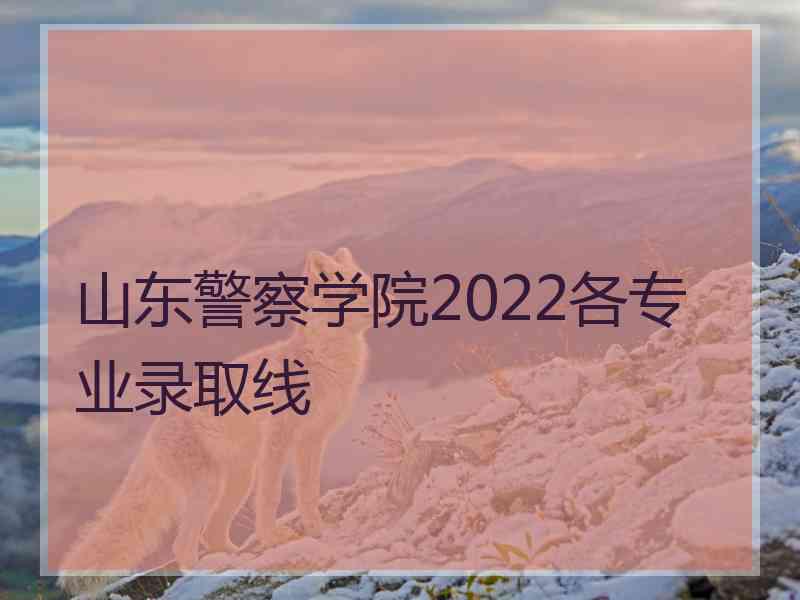 山东警察学院2022各专业录取线