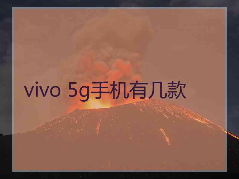 vivo 5g手机有几款