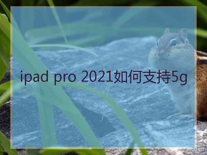 ipad pro 2021如何支持5g