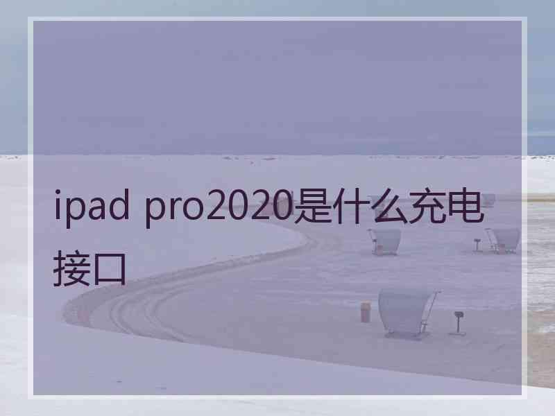 ipad pro2020是什么充电接口