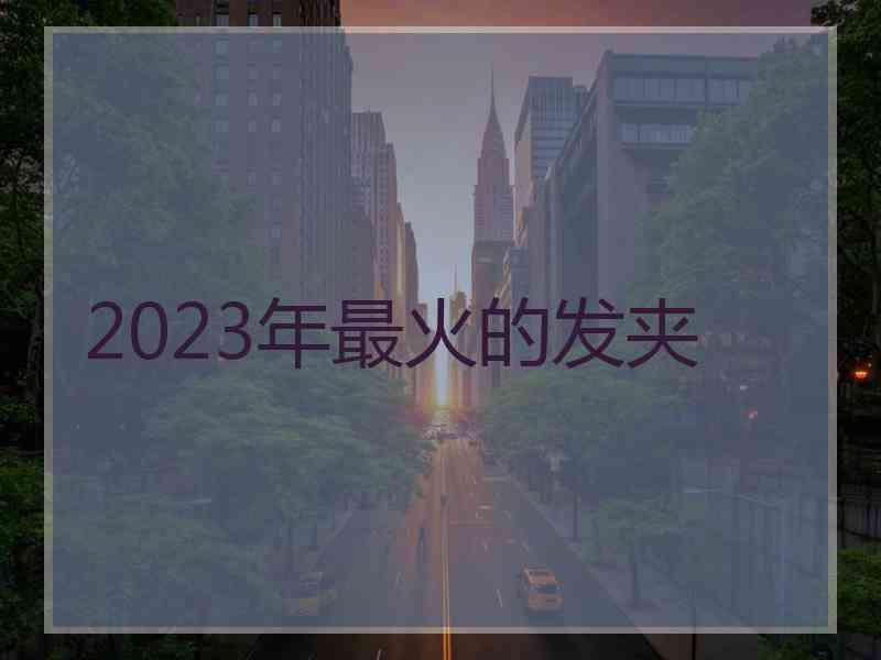 2023年最火的发夹