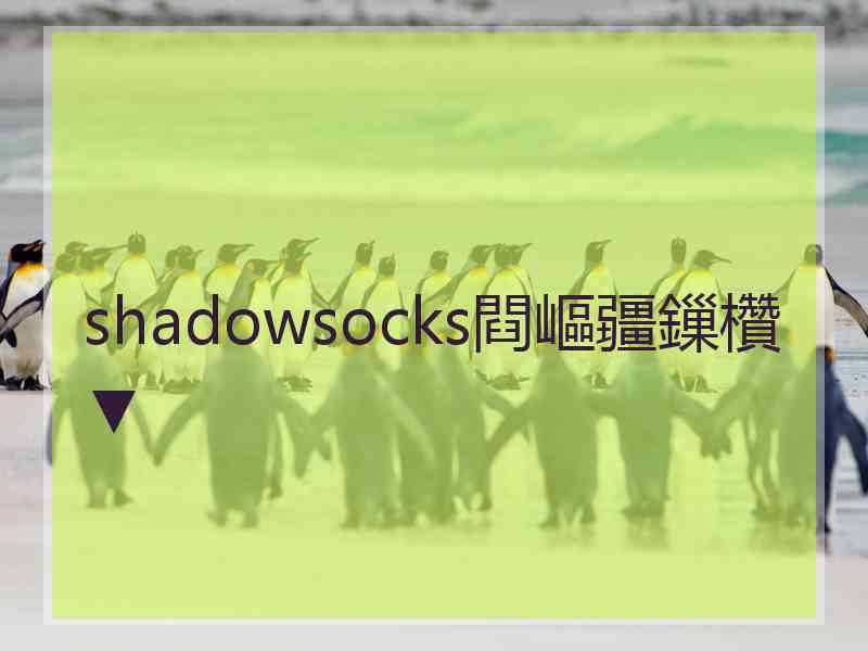 shadowsocks閰嶇疆鏁欑▼