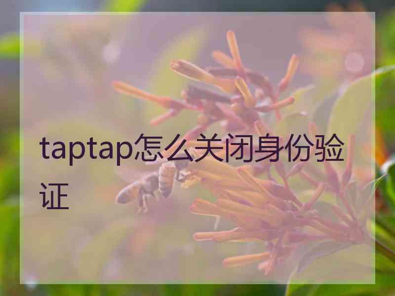 taptap怎么关闭身份验证