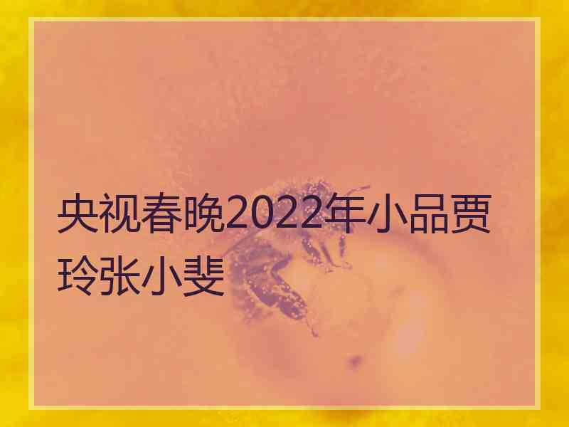 央视春晚2022年小品贾玲张小斐