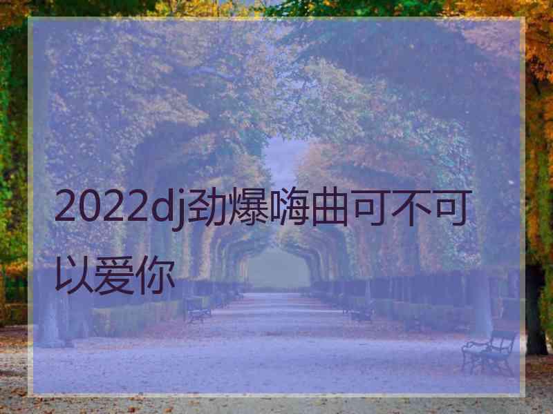 2022dj劲爆嗨曲可不可以爱你