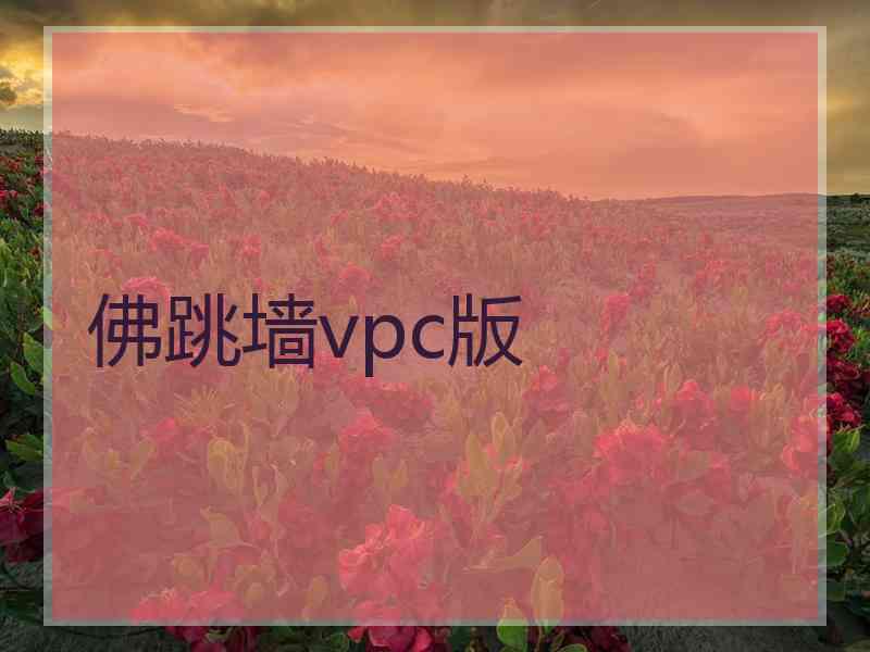 佛跳墙vpc版