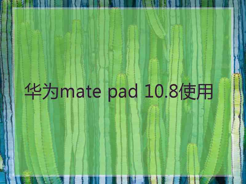 华为mate pad 10.8使用