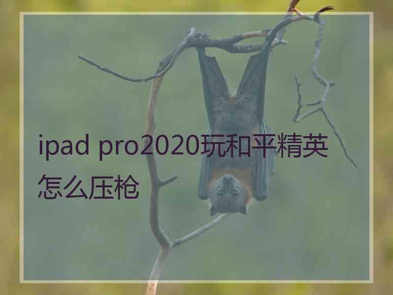 ipad pro2020玩和平精英怎么压枪