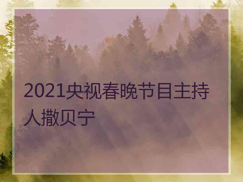 2021央视春晚节目主持人撒贝宁