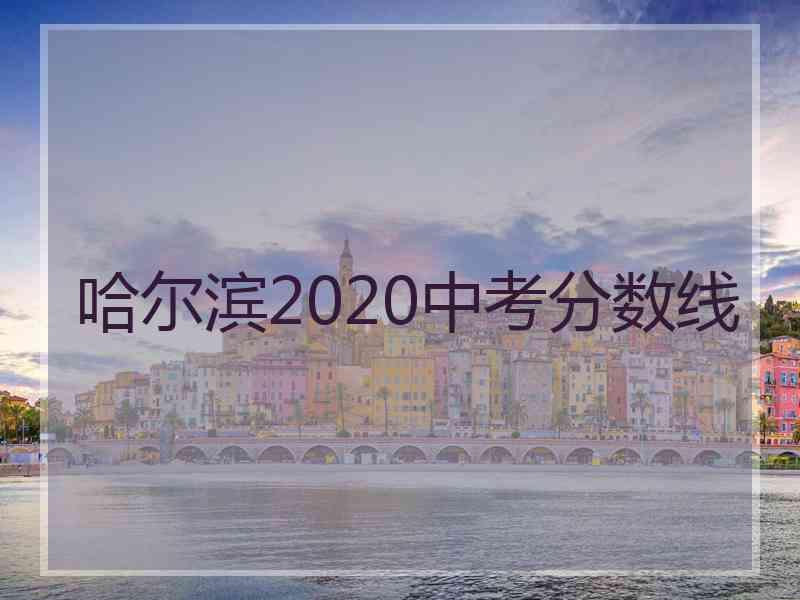 哈尔滨2020中考分数线