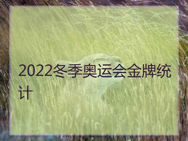 2022冬季奥运会金牌统计