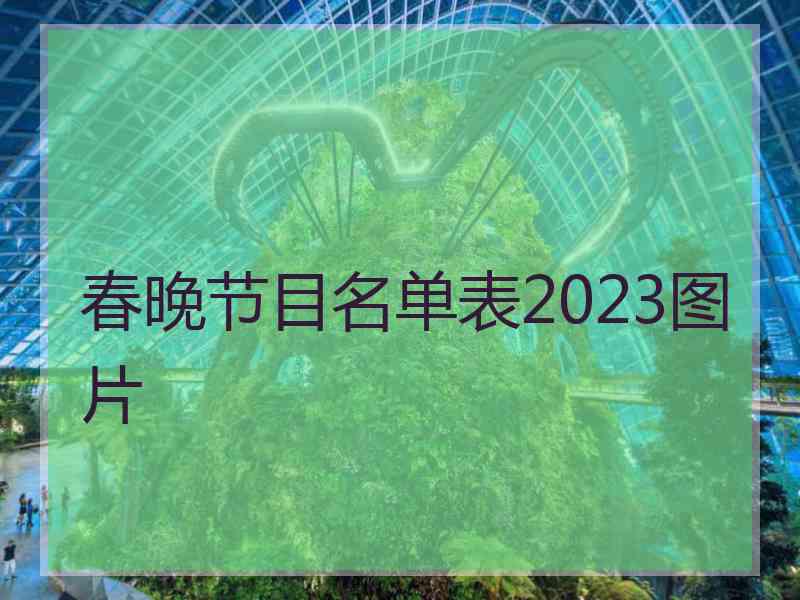 春晚节目名单表2023图片