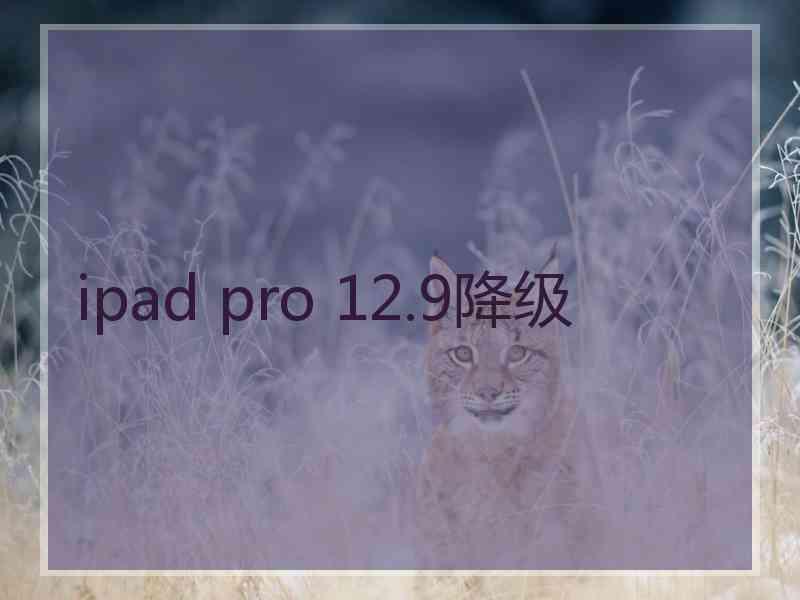 ipad pro 12.9降级