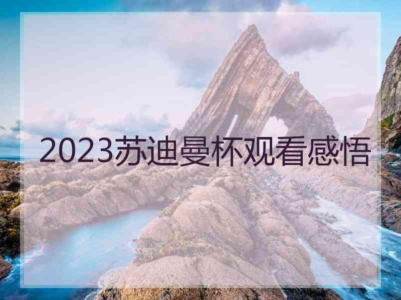 2023苏迪曼杯观看感悟