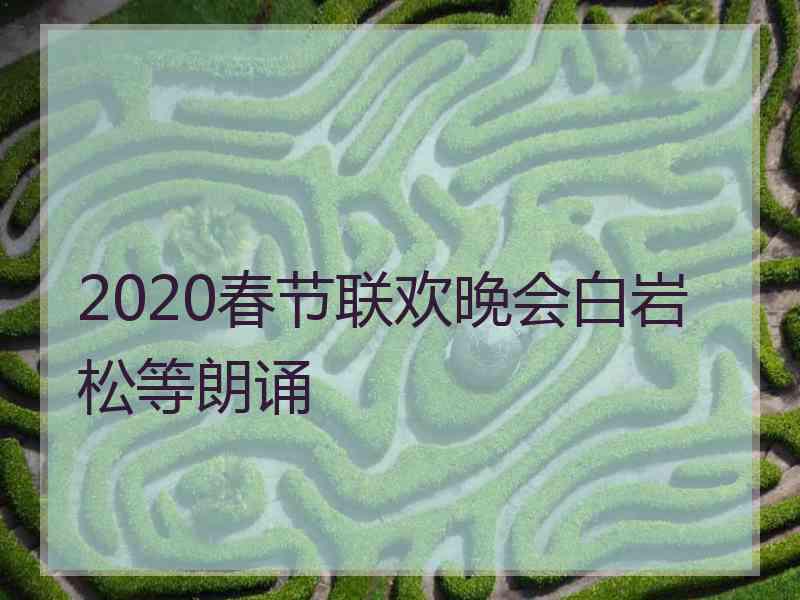 2020春节联欢晚会白岩松等朗诵