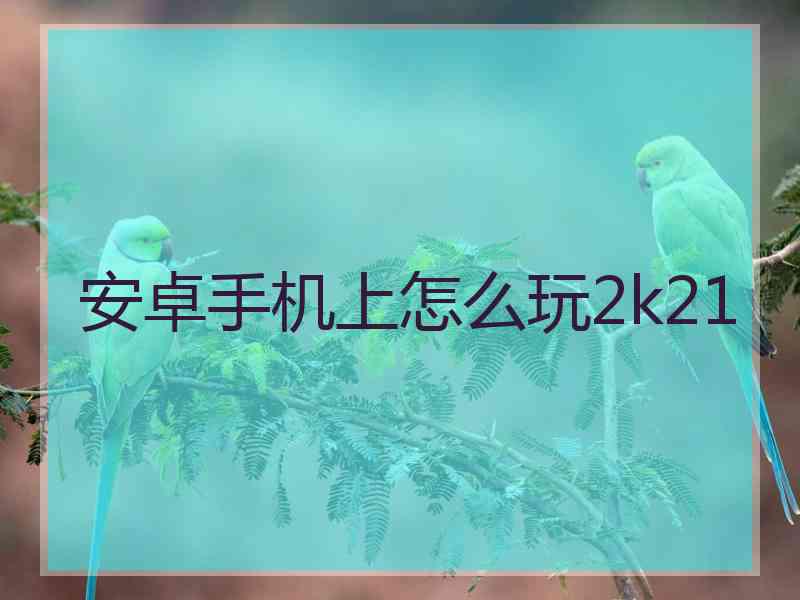 安卓手机上怎么玩2k21