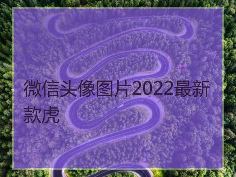 微信头像图片2022最新款虎