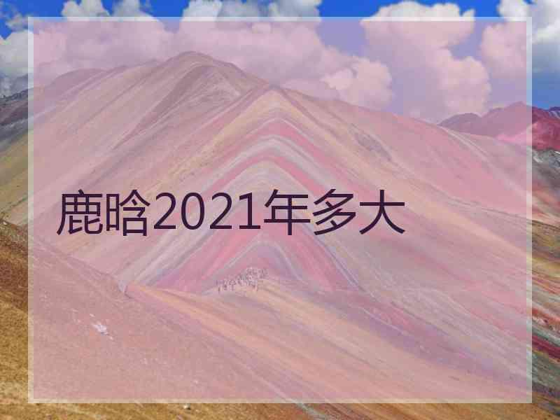 鹿晗2021年多大