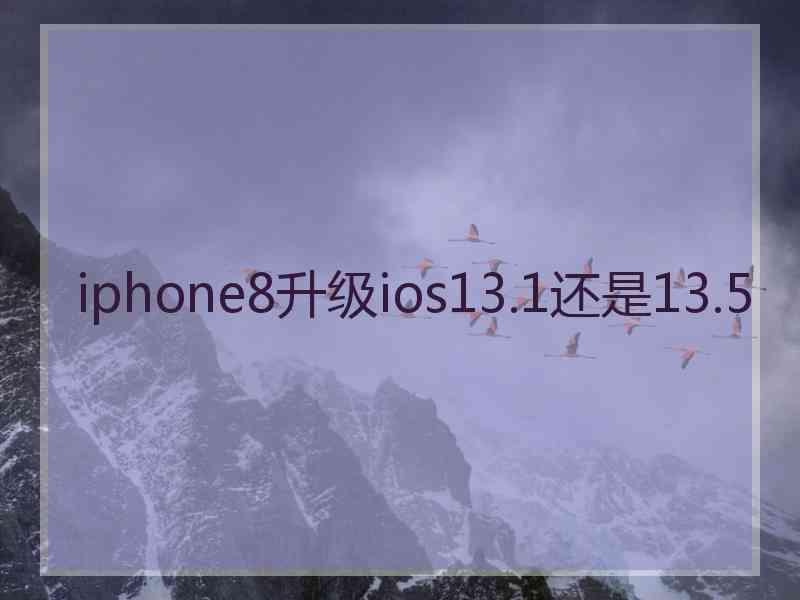 iphone8升级ios13.1还是13.5