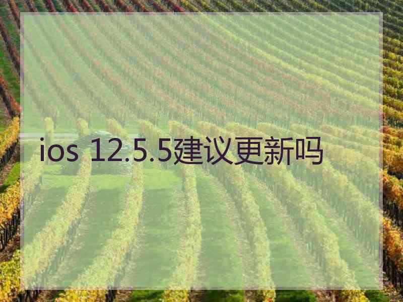 ios 12.5.5建议更新吗