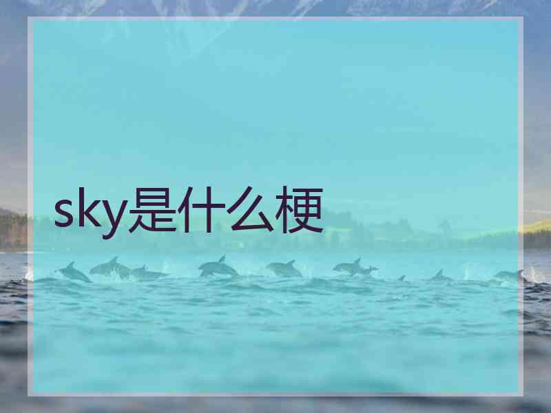 sky是什么梗