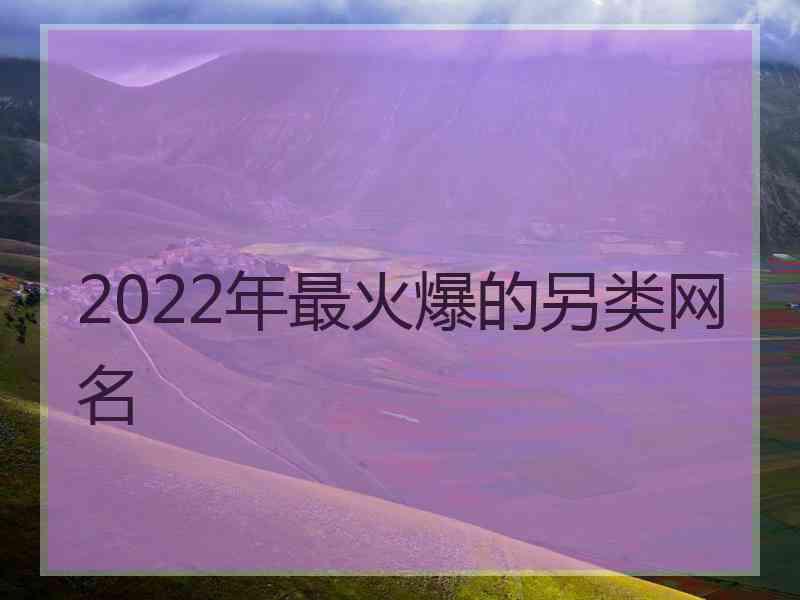 2022年最火爆的另类网名