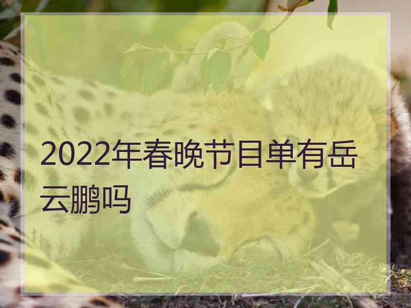 2022年春晚节目单有岳云鹏吗