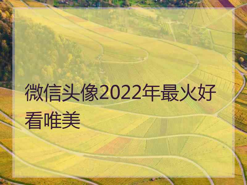 微信头像2022年最火好看唯美