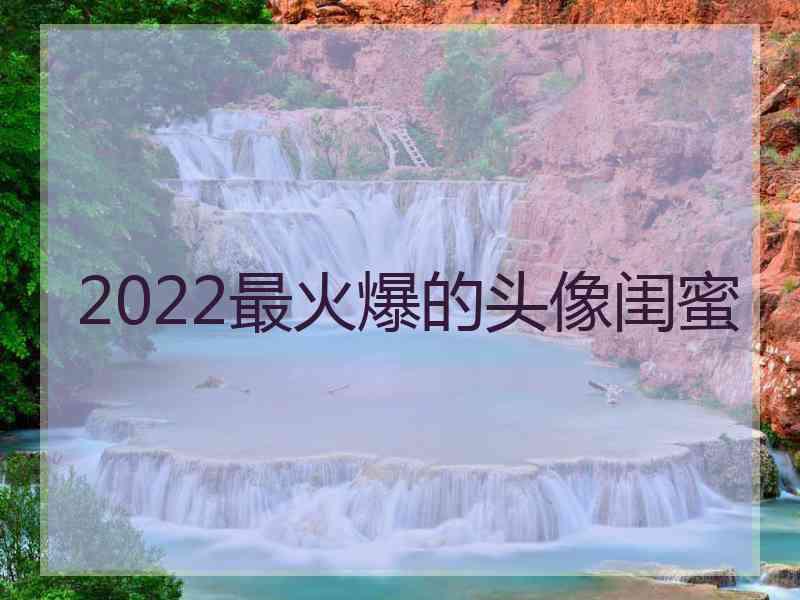 2022最火爆的头像闺蜜