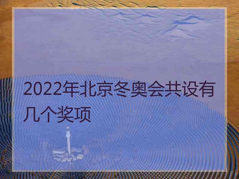 2022年北京冬奥会共设有几个奖项