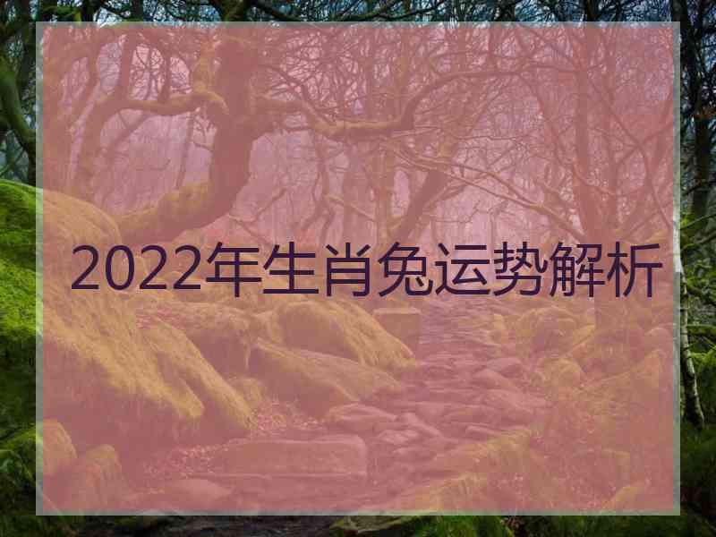 2022年生肖兔运势解析