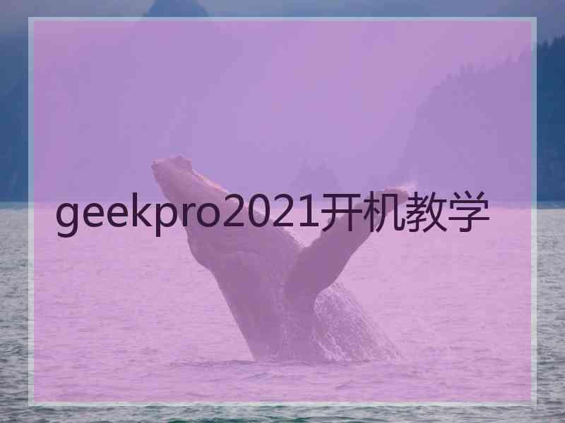 geekpro2021开机教学