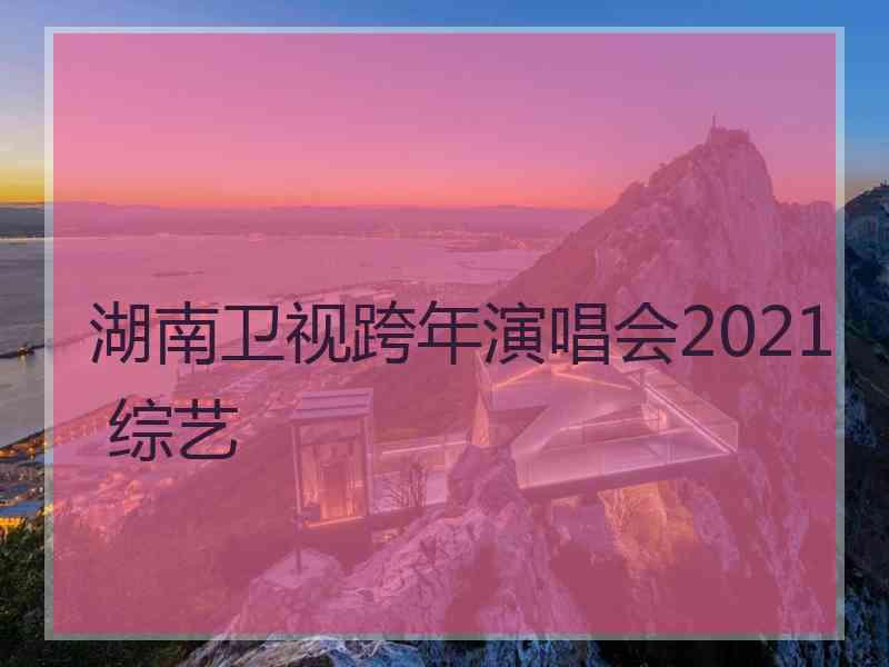 湖南卫视跨年演唱会2021 综艺