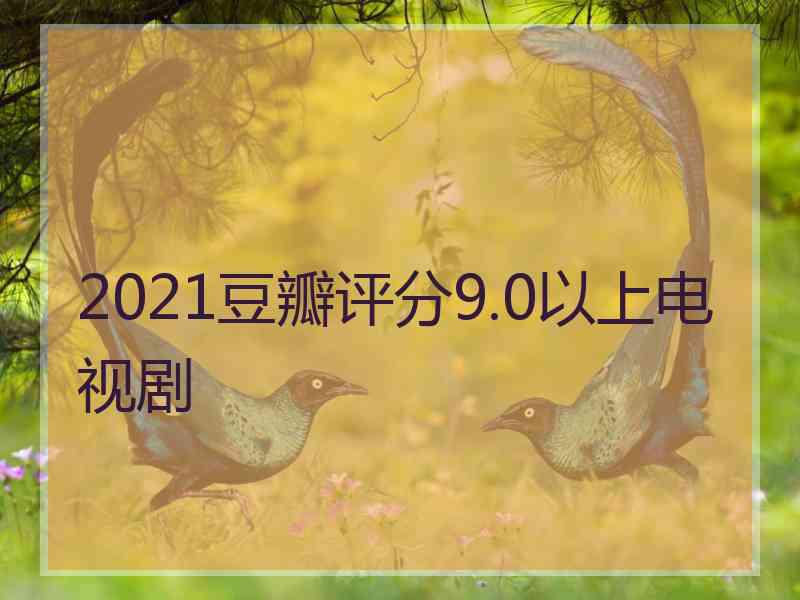 2021豆瓣评分9.0以上电视剧