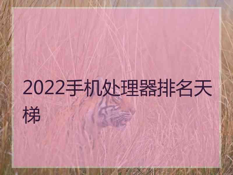 2022手机处理器排名天梯