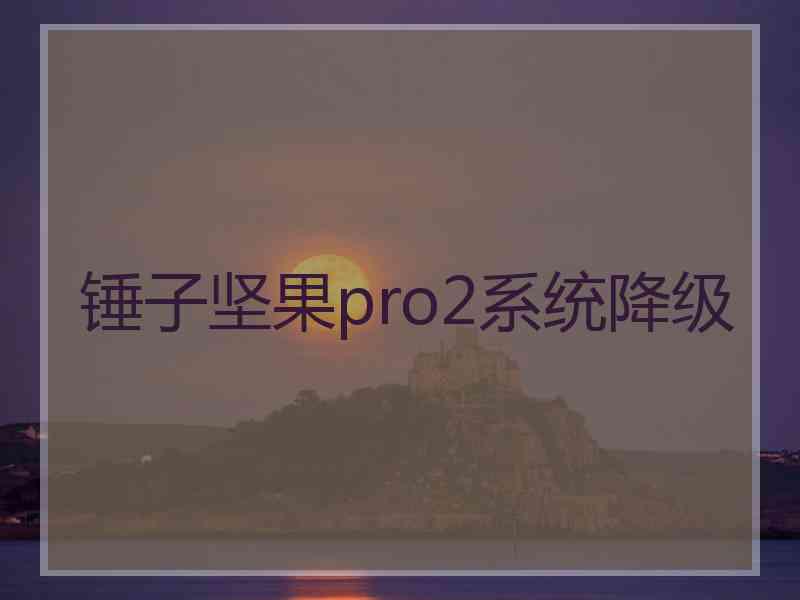 锤子坚果pro2系统降级